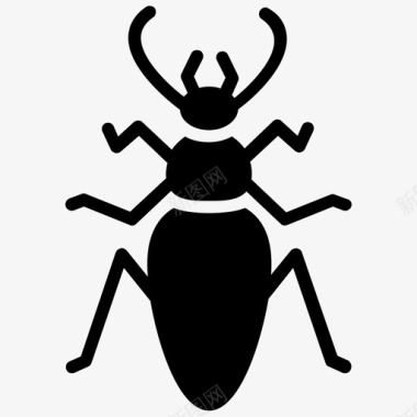 地甲虫粪甲虫昆虫图标图标