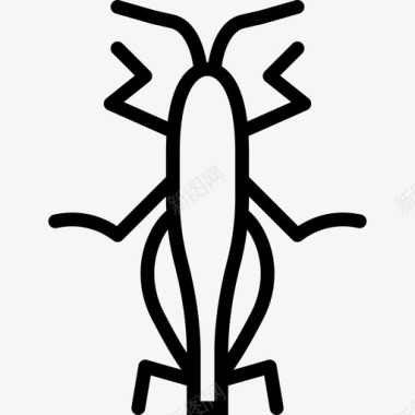 蚱蜢虫虫2线状图标图标