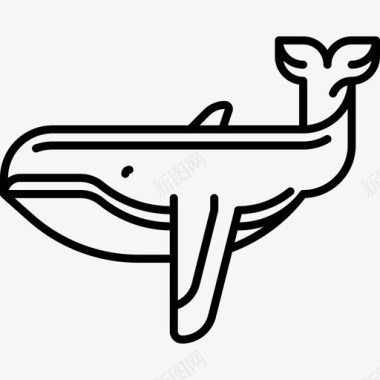 鲸鱼动物21直系图标图标