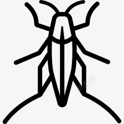 蟋蟀的轮廓蚱蜢虫子蟋蟀图标高清图片