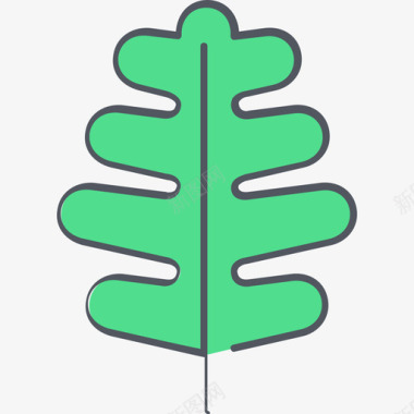 橡木叶自然4颜色图标图标