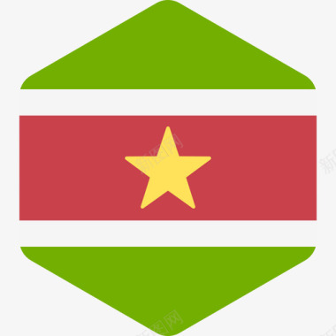 苏里南国际旗帜2六边形图标图标