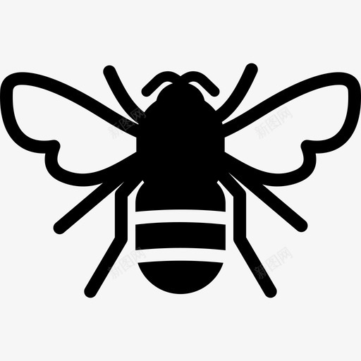 大黄蜂黄蜂小虫图标svg_新图网 https://ixintu.com 大黄蜂 小虫 黄蜂
