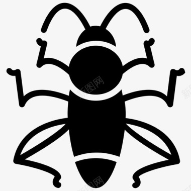 蟋蟀灌木蟋蟀蚱蜢图标图标