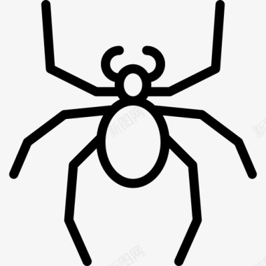 蜘蛛昆虫2线状图标图标