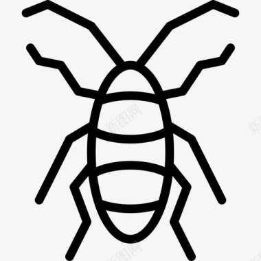 蟑螂虫虫2线状图标图标