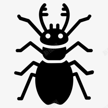 甲虫亲爱的粪甲虫昆虫图标图标