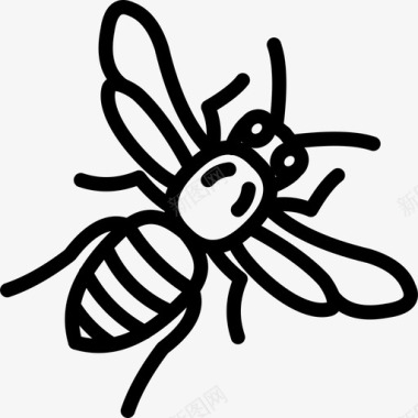 大黄蜂虫子图标图标