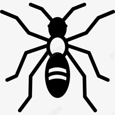 蚂蚁动物野兽图标图标