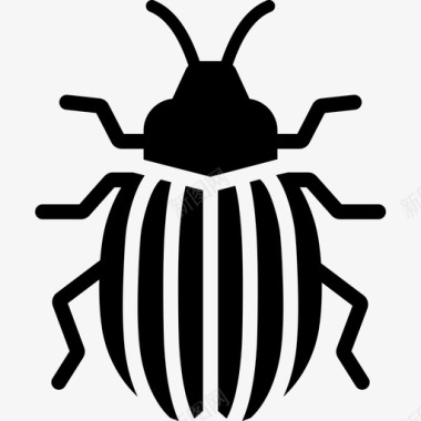 科罗拉多甲虫虫子土豆图标图标