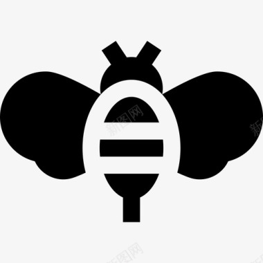 蜜蜂春天3填充图标图标
