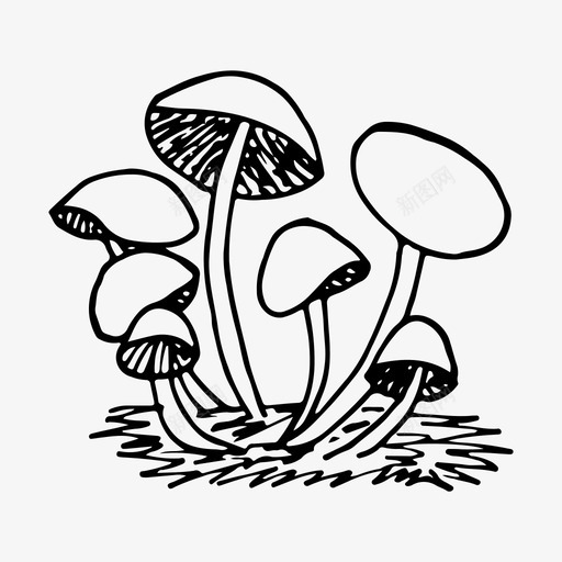 蘑菇森林蜂蜜木耳图标svg_新图网 https://ixintu.com 伞菌 天然 手绘 森林 蘑菇 蜂蜜木耳