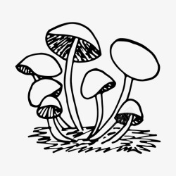 天然木耳蘑菇森林蜂蜜木耳图标高清图片