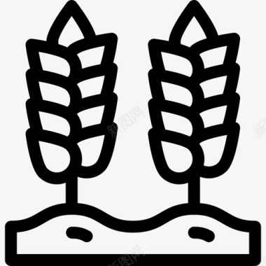 小麦生态与自然4线性图标图标