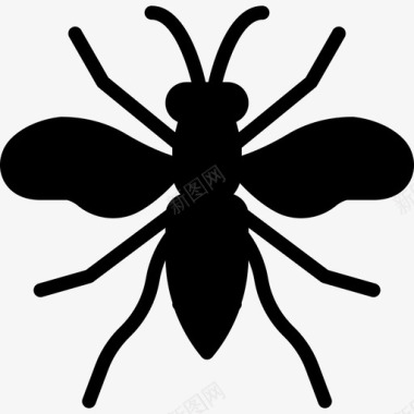 黄蜂虫子3填充图标图标