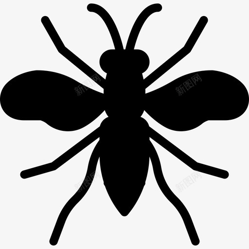 黄蜂虫子3填充图标svg_新图网 https://ixintu.com 填充 虫子3 黄蜂