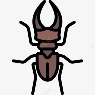 甲虫动物25线形颜色图标图标