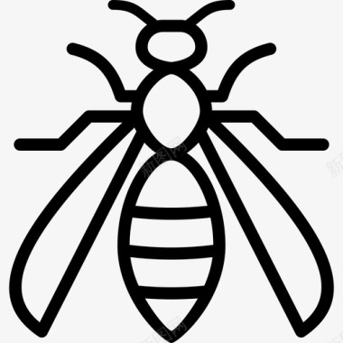 黄蜂虫子大黄蜂图标图标