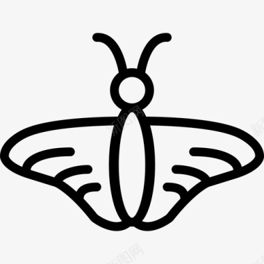蝴蝶虫虫2线状图标图标