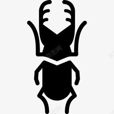 鹿甲虫黄金昆虫图标图标