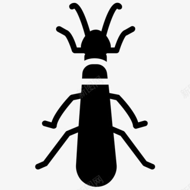 石蝇豆娘昆虫图标图标