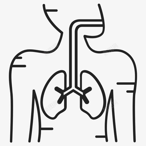 呼吸系统解剖学肺图标svg_新图网 https://ixintu.com 医学 呼吸系统 器官 肺 解剖学