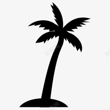 棕榈树椰子树椰子树实心图标图标