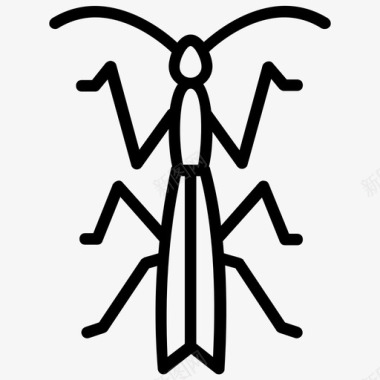 螳螂蚱蜢昆虫图标图标