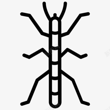 手杖害虫phasmatodea图标图标