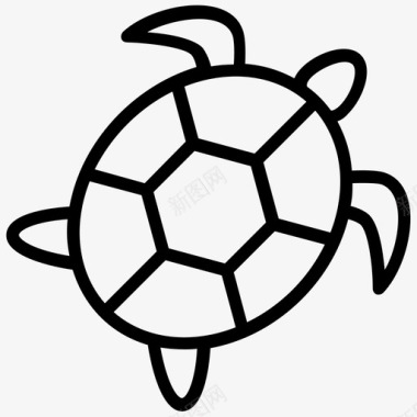 海龟两栖动物龟鳖图标图标