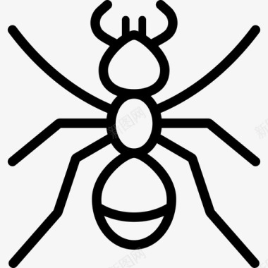 蚂蚁黑色公牛图标图标