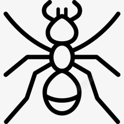 蚂蚁轮廓蚂蚁黑色公牛图标高清图片