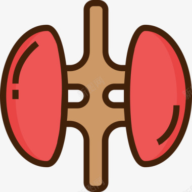 肾脏医学27颜色图标图标