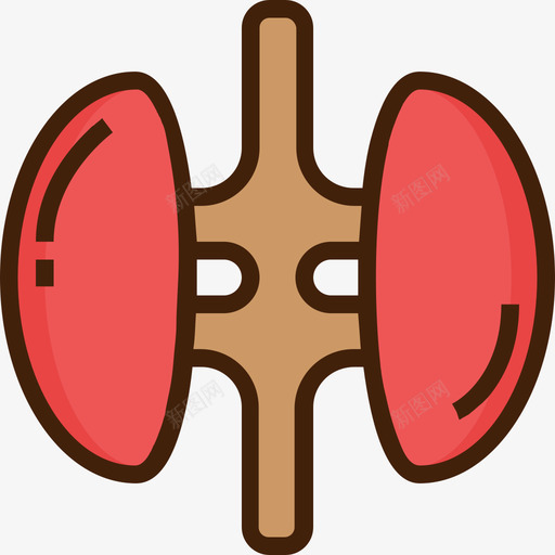肾脏医学27颜色图标svg_新图网 https://ixintu.com 医学27 肾脏 颜色