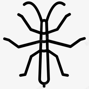 虫子棒害虫phasmatodea图标图标