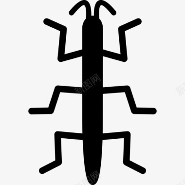 手杖虫昆虫相距图标图标