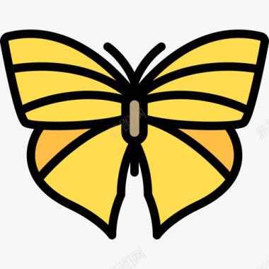 蝴蝶蝴蝶3线状颜色图标图标