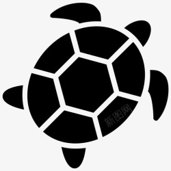 章鱼标志海龟两栖动物龟鳖图标高清图片