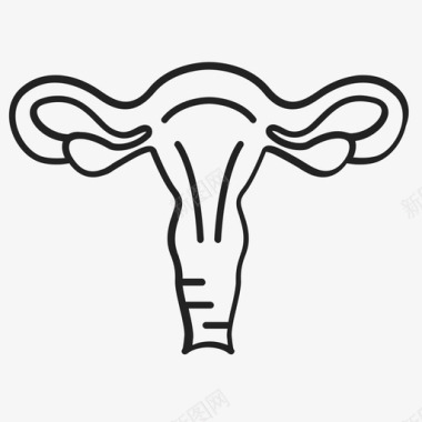 人类子宫器官生殖图标图标