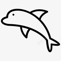 章鱼标志海豚卡通海豚人类朋友鱼图标高清图片