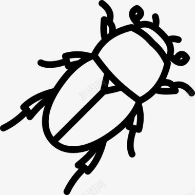 粪甲虫臭虫图标图标