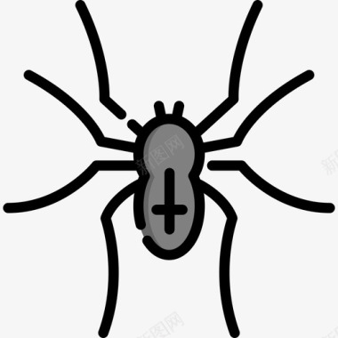 蜘蛛澳大利亚4线状颜色图标图标