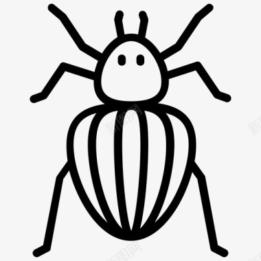 科罗拉多甲虫粪甲虫昆虫图标图标