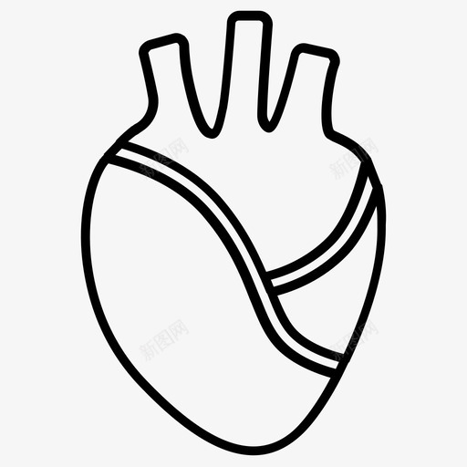 心脏解剖学心血管图标svg_新图网 https://ixintu.com 人体系统 医学 心脏 心血管 系统 解剖学