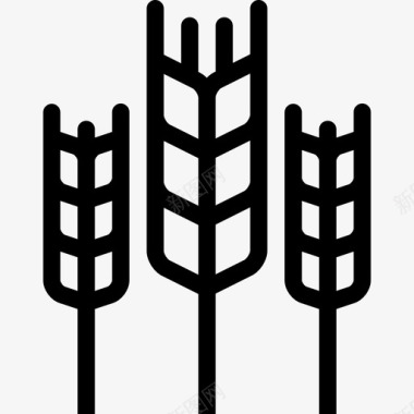 小麦生态学11直系图标图标