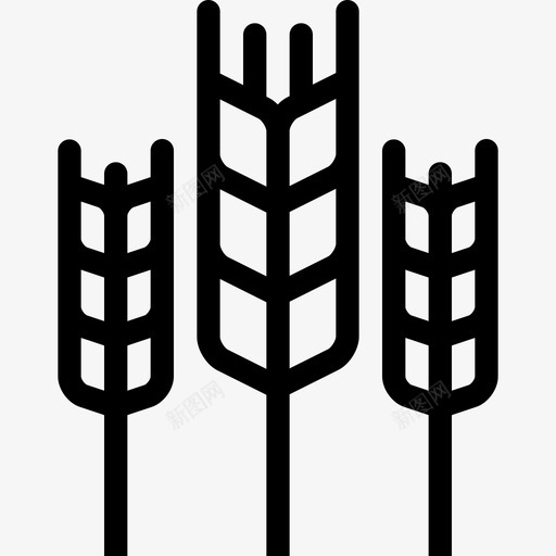 小麦生态学11直系图标svg_新图网 https://ixintu.com 小麦 生态学11 直系