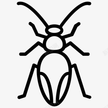 蟑螂甲虫臭虫图标图标
