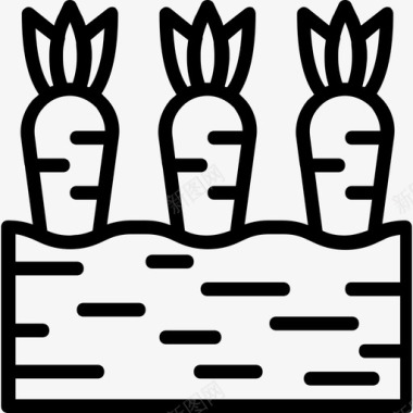 胡萝卜农业5线性图标图标
