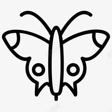 蝴蝶昆虫鳞翅目图标图标