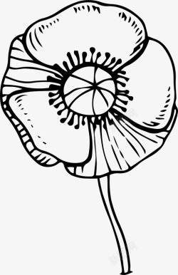野菜图标野花树枝野菜图标高清图片